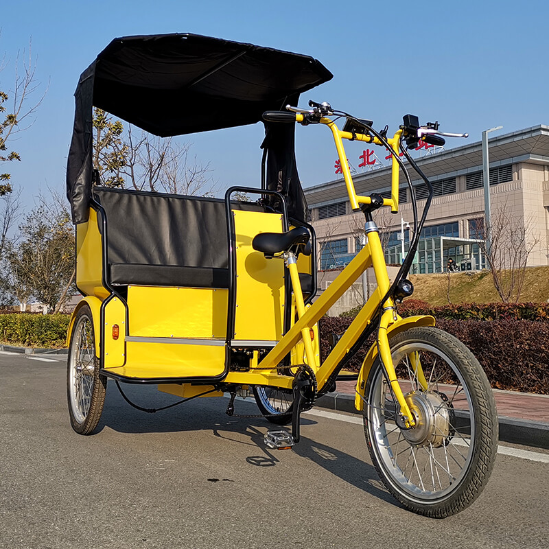 500w Electric Pedicab/pedicab Rickshaw/electric Rickshaw for Passenger