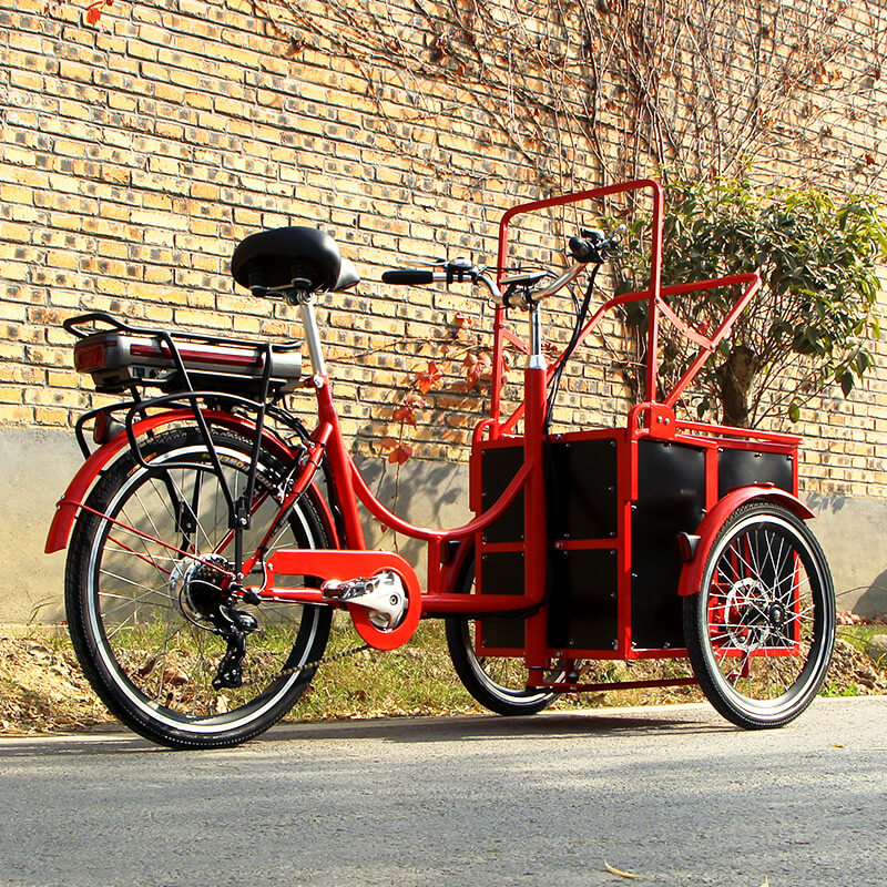family-cargobike