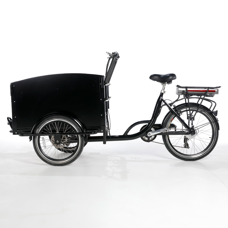 family-cargobike