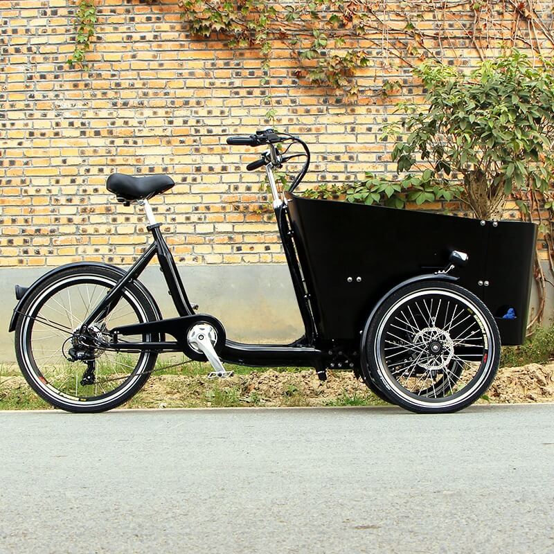 family-cargobike